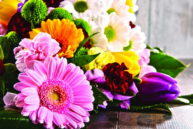 PN2-ChoisirPN2_bien-etre