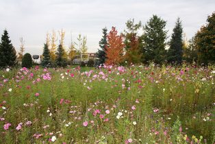 ParisNord2_EspacesVerts