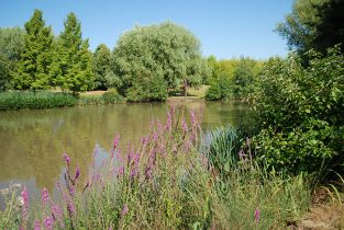 ParisNord2_EspacesVerts