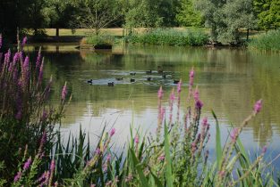 ParisNord2_EspacesVerts