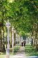 ParisNord2_EspacesVerts