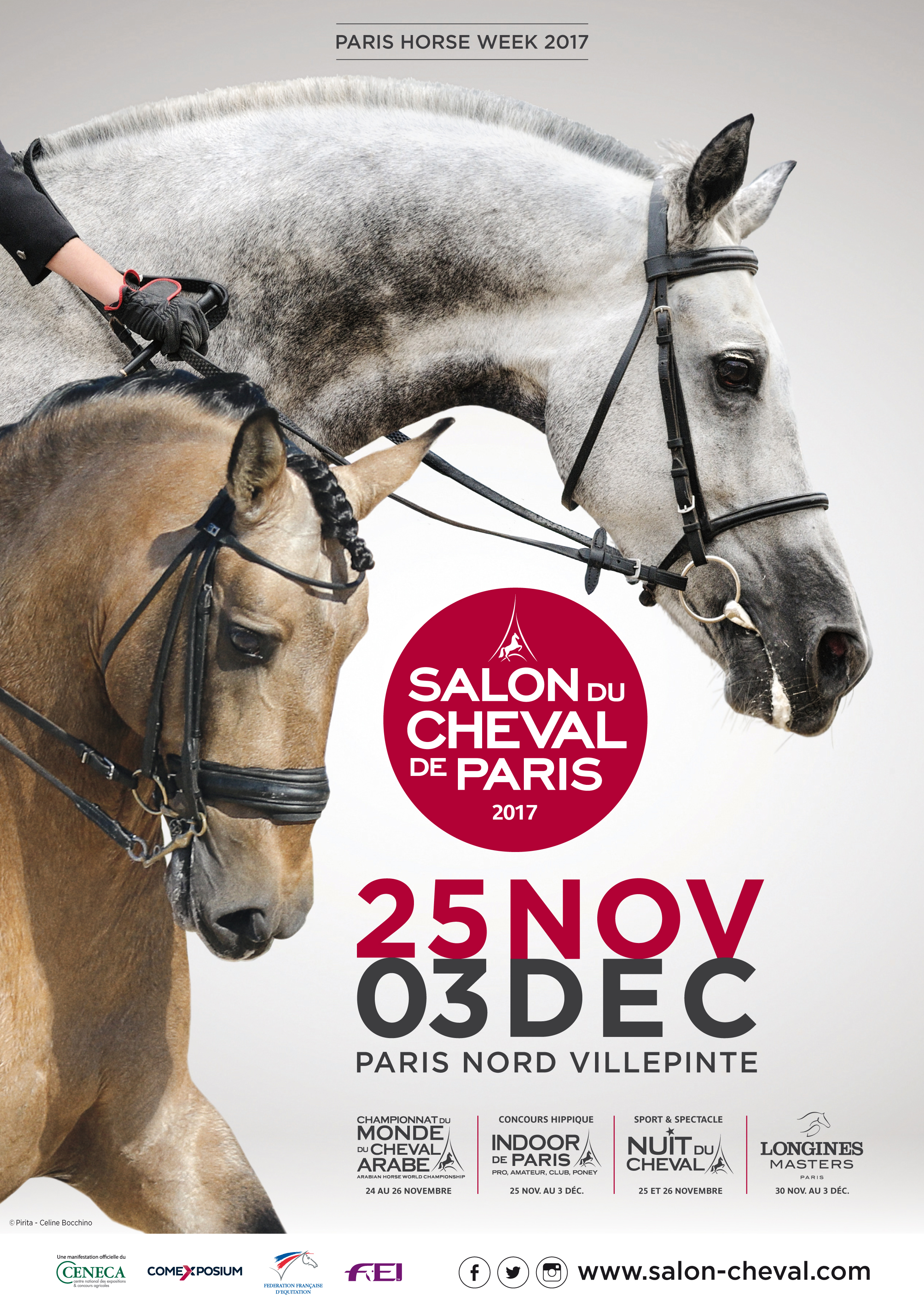 Salon Du Cheval 2019 Paris Nord 2
